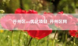开州区seo优化项目_开州区网