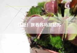 开跑！跟着苏马游姑苏