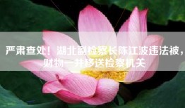 严肃查处！湖北副检察长陈江波违法被，财物一并移送检察机关