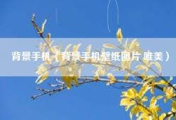 背景手机（背景手机壁纸图片 唯美）