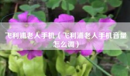 飞利浦老人手机（飞利浦老人手机音量怎么调）