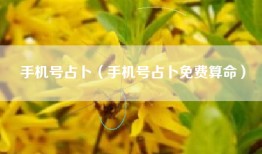 手机号占卜（手机号占卜免费算命）