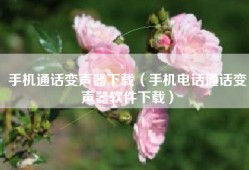 手机通话变声器下载（手机电话通话变声器软件下载）