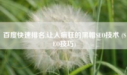 百度快速排名,让人疯狂的黑帽SEO技术 (SEO技巧)