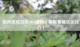 如何优化百度SEO排名（掌握基础优化技巧）
