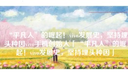“平凡人”的崛起！vivo发展史，坚持埋头种因vivo手机创始人「“平凡人”的崛起！vivo发展史，坚持埋头种因」