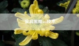宜宾黑帽seo技术