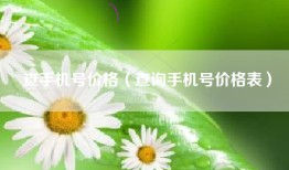 查手机号价格（查询手机号价格表）