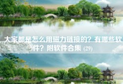 大家都是怎么用磁力链接的？有哪些软件？附软件合集 (29)