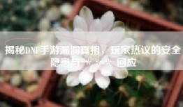 揭秘DNF手游漏洞真相，玩家热议的安全隐患与 ＊＊＊ 回应