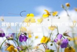 营销推广方案模板范文_营销推广实施方案