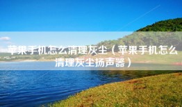 苹果手机怎么清理灰尘（苹果手机怎么清理灰尘扬声器）