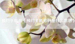 预约手机号（预约手机号码是什么意思）
