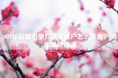 2024年巨量引擎广告主账户怎么开通? 今年绿色通道 2024年巨量引擎广告主账户怎么开通? 今年绿色通道