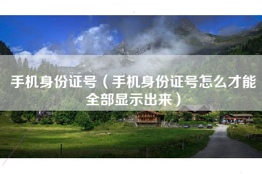 手机身份证号（手机身份证号怎么才能全部显示出来）