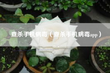 查杀手机病毒（查杀手机病毒app）