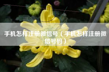 手机怎样注册微信号（手机怎样注册微信号码）
