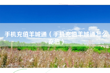 手机充值羊城通（手机充值羊城通怎么充值）