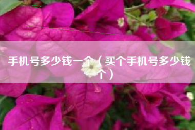 手机号多少钱一个（买个手机号多少钱一个）