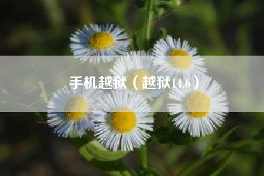 手机越狱（越狱14.6）